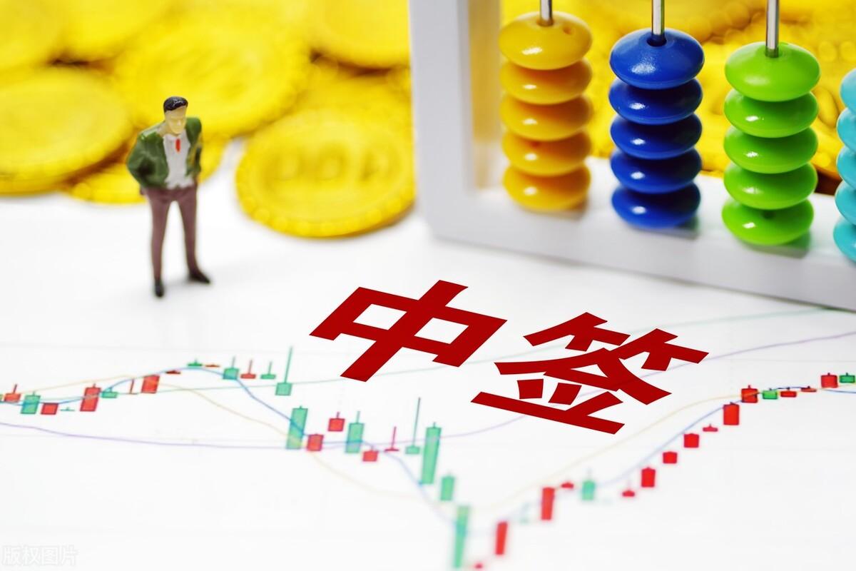 最新中签号揭晓，期待与解读摇号结果