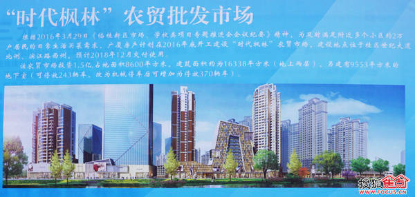 临桂时代枫林最新动态，全面指南