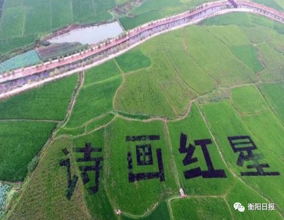 常宁市李涛最新动态