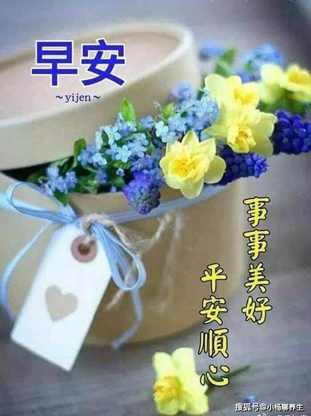 2024年澳门波色表图片,全方位操作计划_YDY9.666温馨版