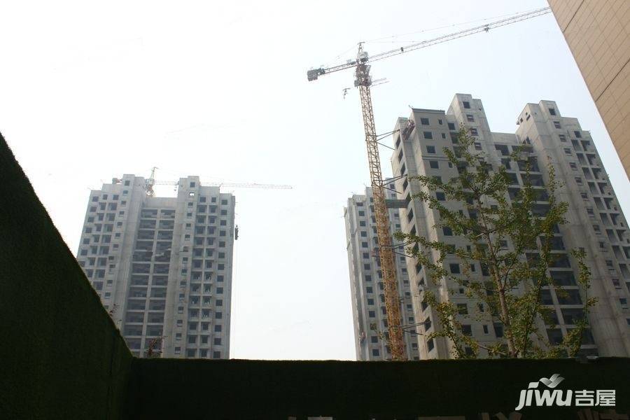 张店天悦，最新动态、日常趣事与情感的交汇点