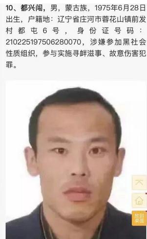 广西龙州最新通缉犯名单及抓捕防范指南，初学者与进阶用户通用教程
