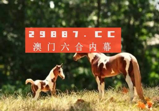 香港正版免费资料跑狗图,科学分析严谨解释_户外版16.843