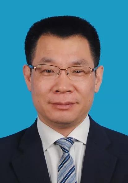 2024年新奥全年资料,专业数据解释设想_漏出版16.896