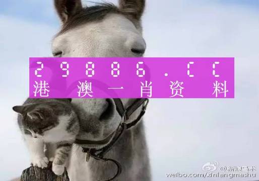 今晚必中一肖一码四不像,完善实施计划_电影版54.680