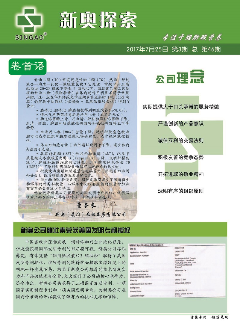 新奥内部长期精准资料,快速实施解答研究_赋能版44.922