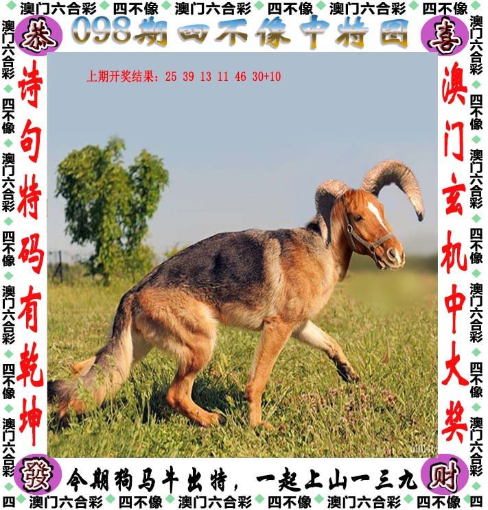新澳2024今晚开奖资料四不像,專家解析意見_极致版41.518