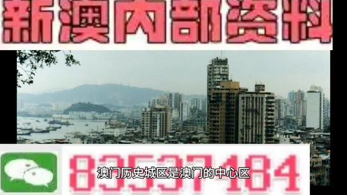 新澳免费资料精准大全,灵活性执行方案_计算机版87.352