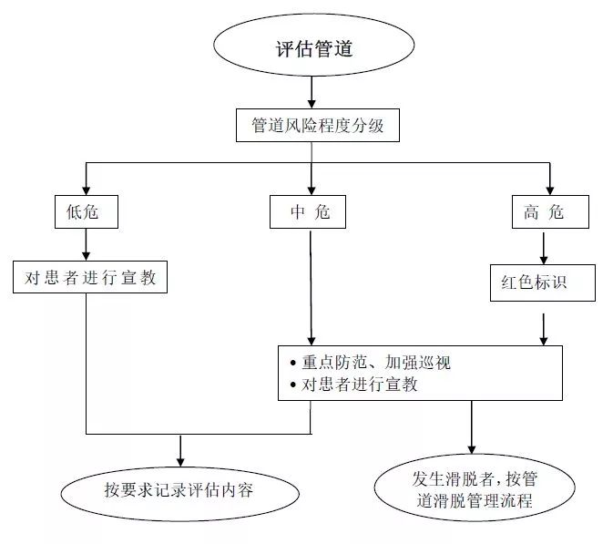 管道滑脱最新动态，自然美景的心灵之旅探索