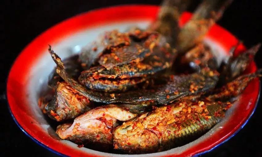 最新腌去也,最新腌去也，一场学习变革的励志之旅