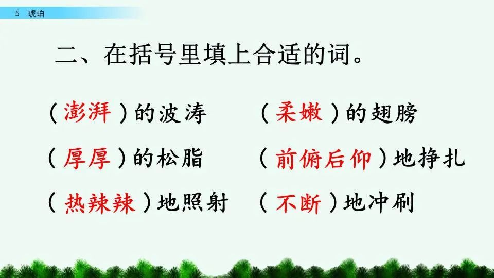 琥珀最新课文内容探讨与解析