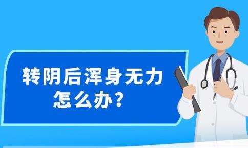 新澳精准资料免费大全,完善实施计划_自在版86.856