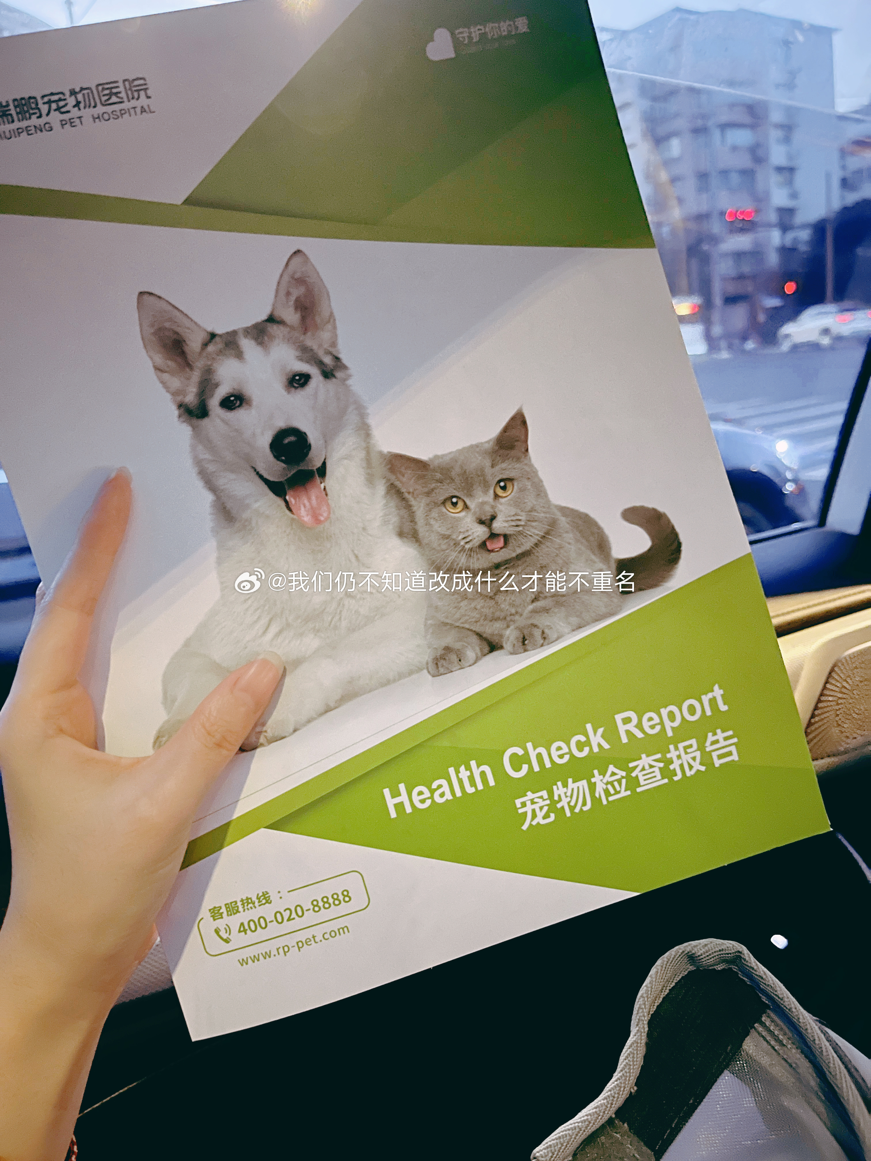 健康猫最新公告