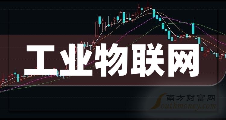上市网，小巷深处的独特风味美食之旅