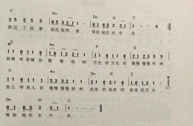 最新简谱资讯，小巷深处的音符宝藏探索