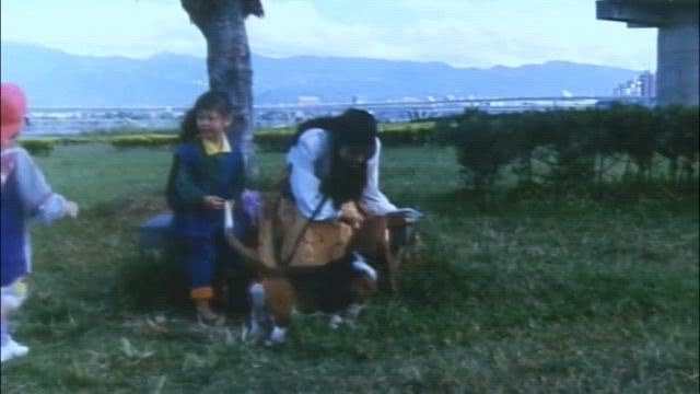 第444页