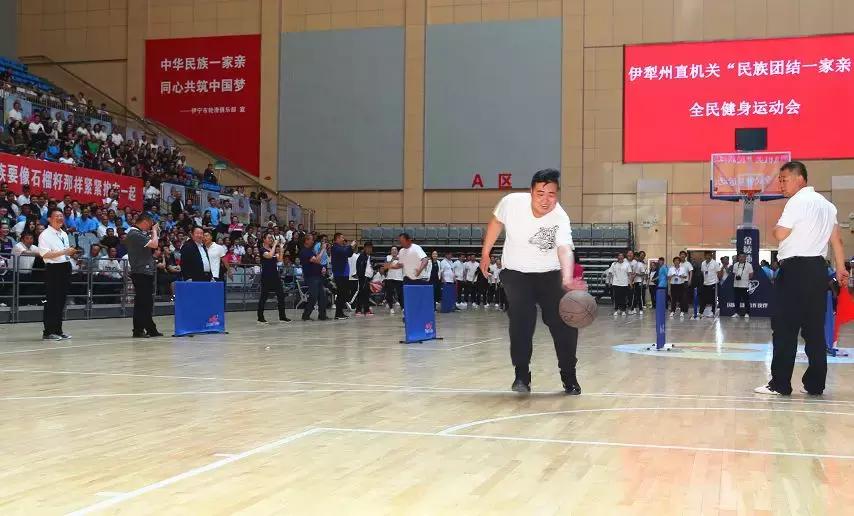 篮球比赛秩序册模板，深度论述与观点阐述解析