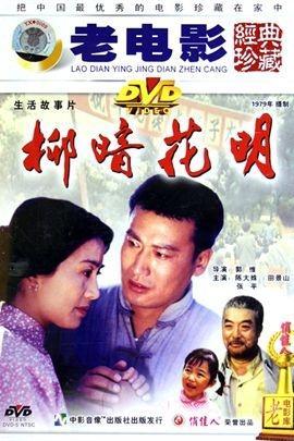 柳暗花明电影，友谊与家的温暖与温馨之旅