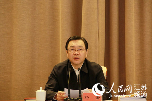 杨岳现任情况深度解析，我的观点与见解