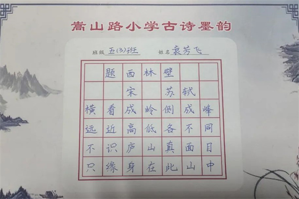 钢笔比赛作品，艺术与技巧的绝美交融展现匠心独韵的魅力风采