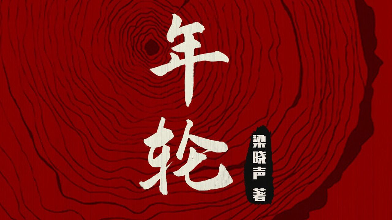 年轮电视剧下载，小巷深处的影视宝藏探索