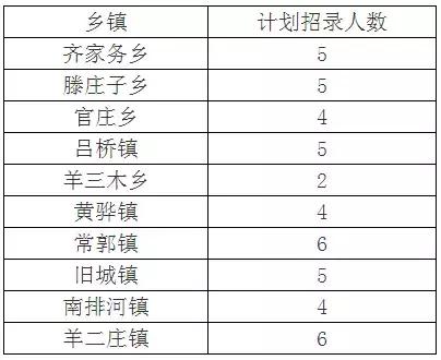 汶上会计职位最新招聘，行业趋势、需求与前景分析及职位详解