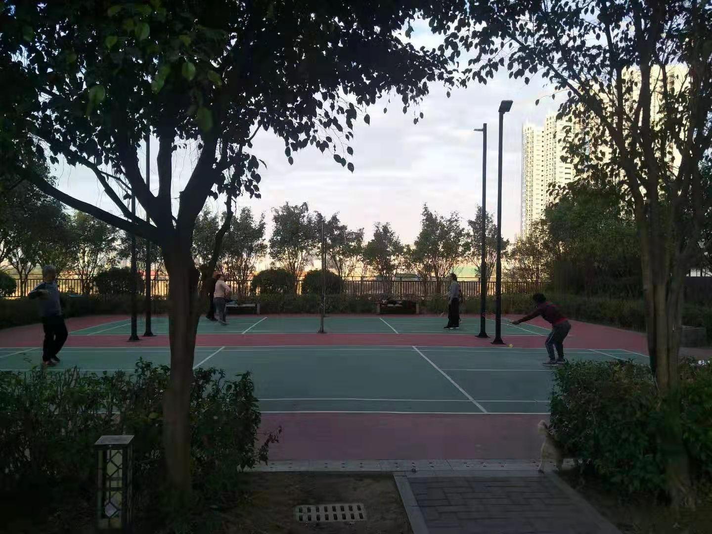 秋谷康城二手房价行情深度解析，市场走势与购房指南