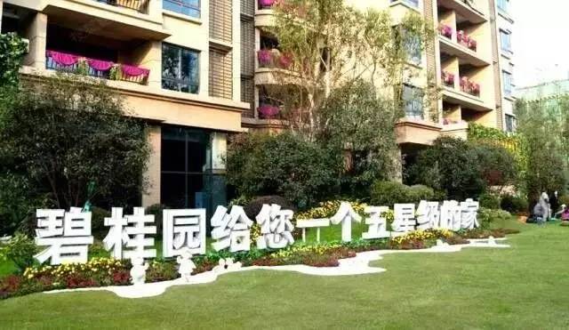 碧桂园黄石再展宏图，新地拿下，梦想起航新征程