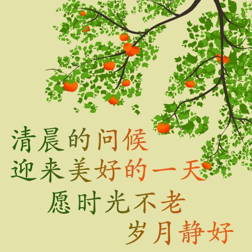 最新早上好